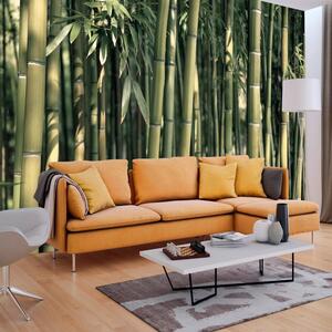 Tapeta velikog formata Artgeist Bamboo Exotic, 400 x 280 cm