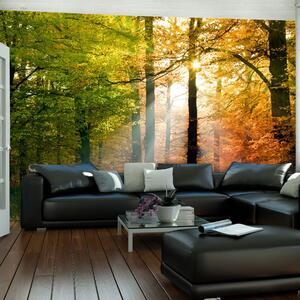 Veliki format Wallpaper Artgeist Lijepa jesen, 400 x 309 cm