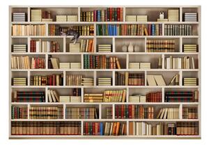 Velkoformort Wallpaper Arthist Home knjižnica, 200 x 140 cm