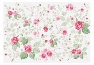 Velko Format Wallpaper Artgeist Rosa Pleatures, 200 x 140 cm