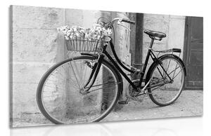 Slika rustikalni bicikl u crno-bijelom dizajnu