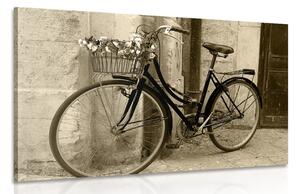 Slika rustikalni bicikl u sepijastom tonu