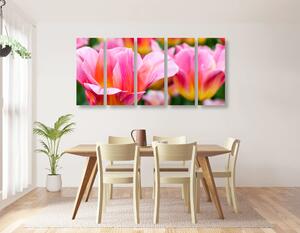 5-dijelna slika livada s ružičastim tulipanima