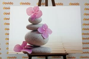 Slika balans kamenja i ružičasto orijentalno cvijeće