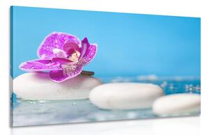 Slika orhideja i Zen kamenje