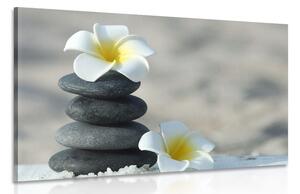 Slika harmonično kamenje i cvijet plumerija