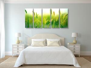 5-dijelna slika vlati trave u zelenom dizajnu