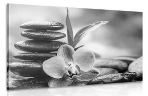 Slika meditacijska Zen kompozicija u crno-bijelom dizajnu