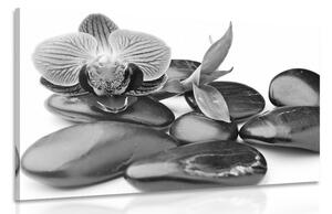 Slika masažno wellness kamenje u crno-bijelom dizajnu