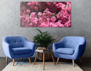 Slika detaljni cvjetovi trešnje