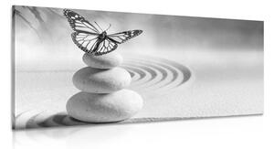 Slika ravnoteža kamenja i leptir u crno-bijelom dizajnu