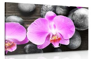 Slika prekrasna kompozicija orhideja i kamenje