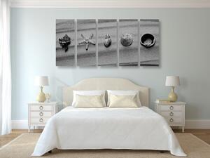 5-dijelna slika školjke na pješčanoj plaži u crno-bijelom dizajnu