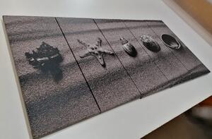 5-dijelna slika školjke na pješčanoj plaži u crno-bijelom dizajnu