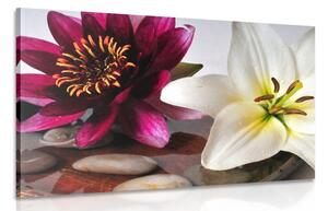 Slika cvijeće u zdjeli sa Zen kamenjem