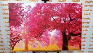 Slika čarobna stabala trešnje u cvatu