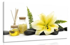 Slika žuti ljiljan i wellness mrtva priroda