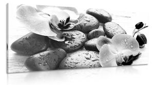 Slika čaroban sklad kamenja i orhideje u crno-bijelom dizajnu