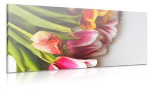 Slika buket šarenih tulipana