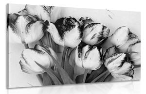 Slika proljetni tulipani u crno-bijelom dizajnu