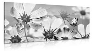 Slika vrtno cvijeće u crno-bijelom dizajnu