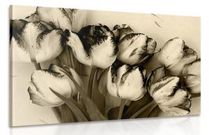 Slika proljetni tulipani u sepijastom tonu