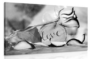 Slika romantična izjava ljubavi u crno-bijelom dizajnu Love