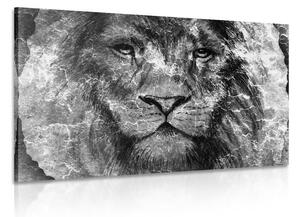Slika lice lava u crno-bijelom dizajnu