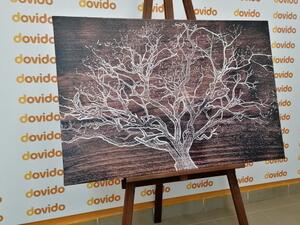 Slika krošnja stabla na drvenoj podlozi - 60x40