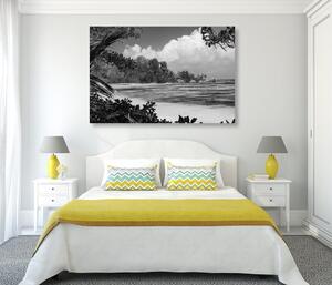 Slika prekrasna plaža na otoku La Digue u crno-bijelom dizajnu