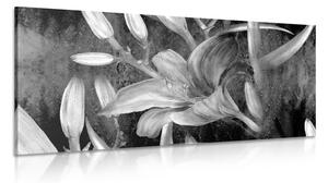 Slika ljiljan u cvatu u crno-bijelom dizajnu