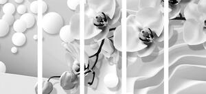 5-dijelna slika crno-bijela orhideja na apstraktnom pozadini