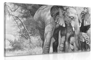 Slika obitelj slonova u crno-bijelom dizajnu