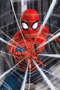 Poster Spider-Man - Gotcha!, (61 x 91.5 cm)