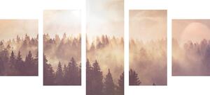 5-dijelna slika magla iznad šume