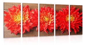 5-dijelna slika cvijeće crvene dalije