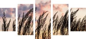 5-dijelna slika trava pri zalasku sunca