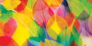 Slika listovi u jesenjim bojama