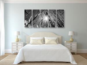 5-dijelna slika poljska trava u crno-bijelom dizajnu