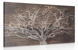 Slika krošnja stabla na drvenoj podlozi - 60x40