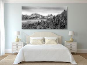 Slika smrznute planine u crno-bijelom dizajnu