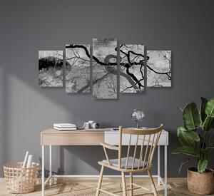5-dijelna slika nadrealistička stabla u crno-bijelom dizajnu