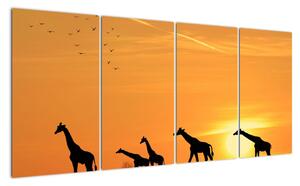Moderne slike - žirafe (160x80cm) (F001074F16080)