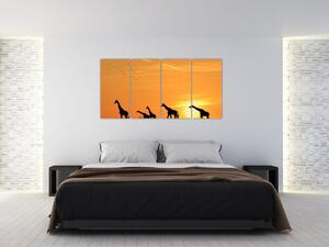 Moderne slike - žirafe (160x80cm) (F001074F16080)