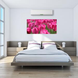 Slike - tulipani (160x80cm) (F002627F16080)