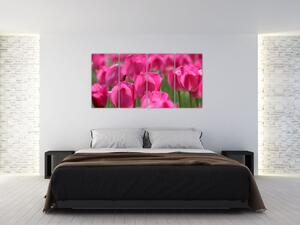Slike - tulipani (160x80cm) (F002627F16080)