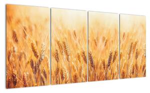 Slika - žito u polju (160x80cm) (V026073V16080)