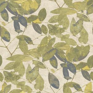 Tapeta Beech 3 boje