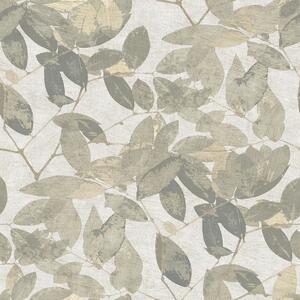 Tapeta Beech 3 boje