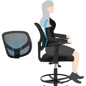 Ergonomska uredska stolica s naslonima za ruke, visina sjedala 55-75 cm, crna